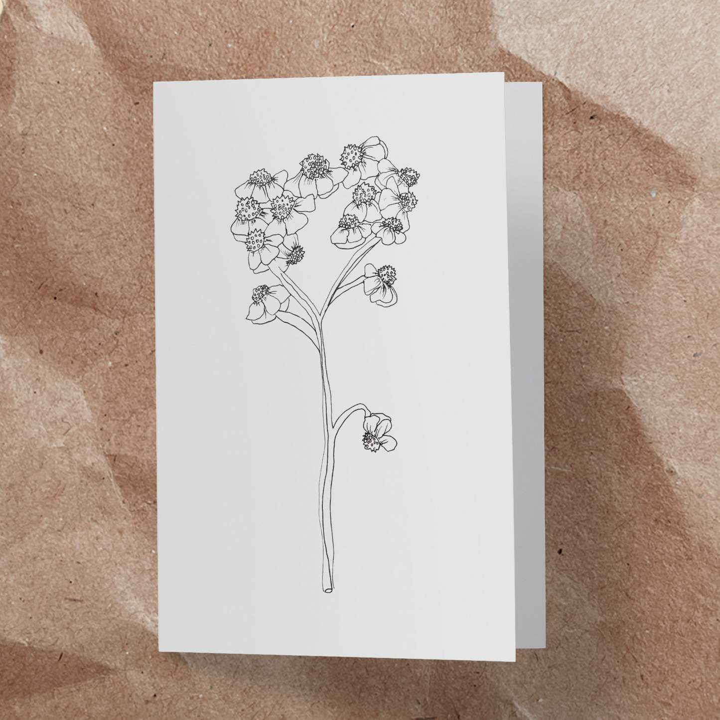 'Flower Wall' wrapping paper.