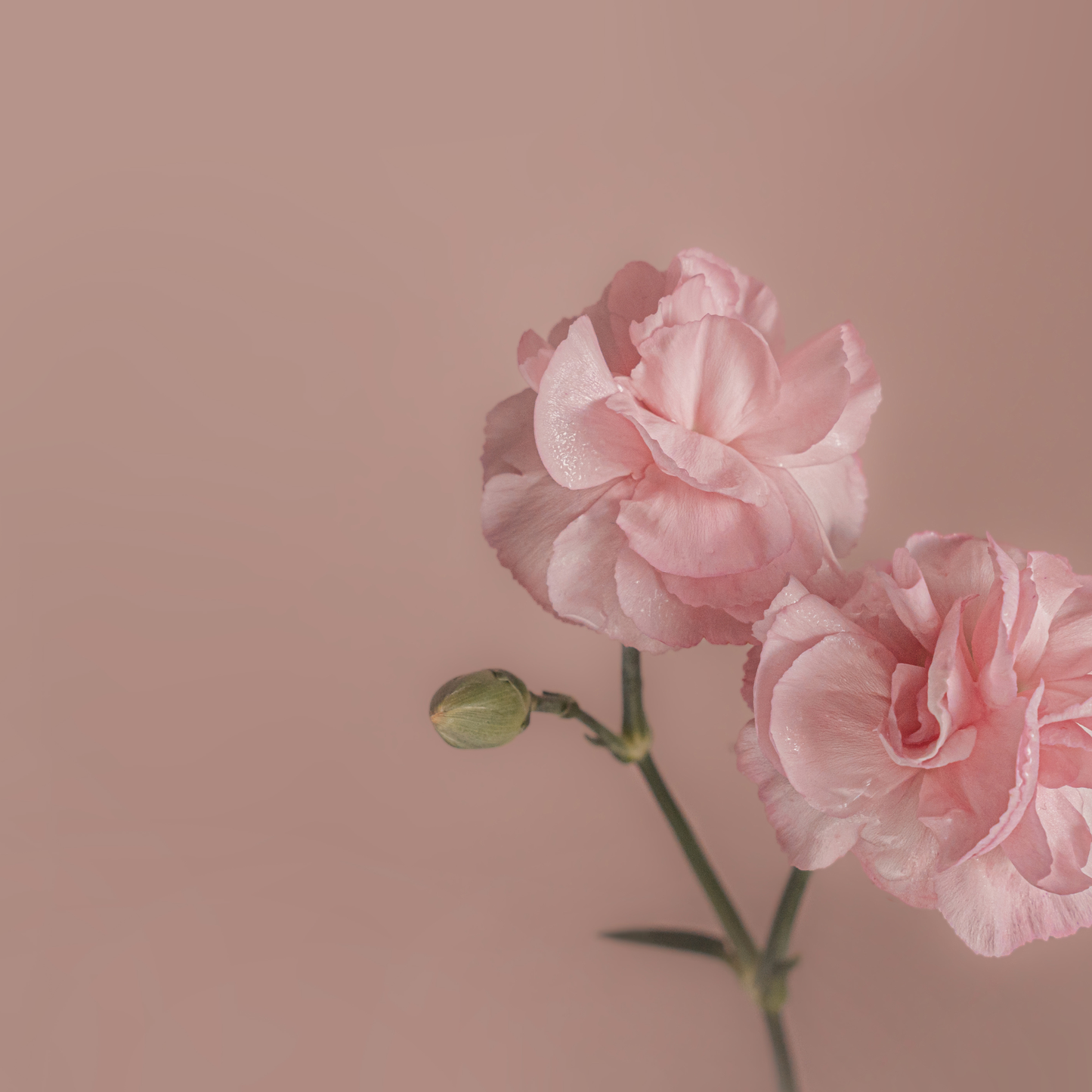 Good friends don't let friends do stupid things alone.