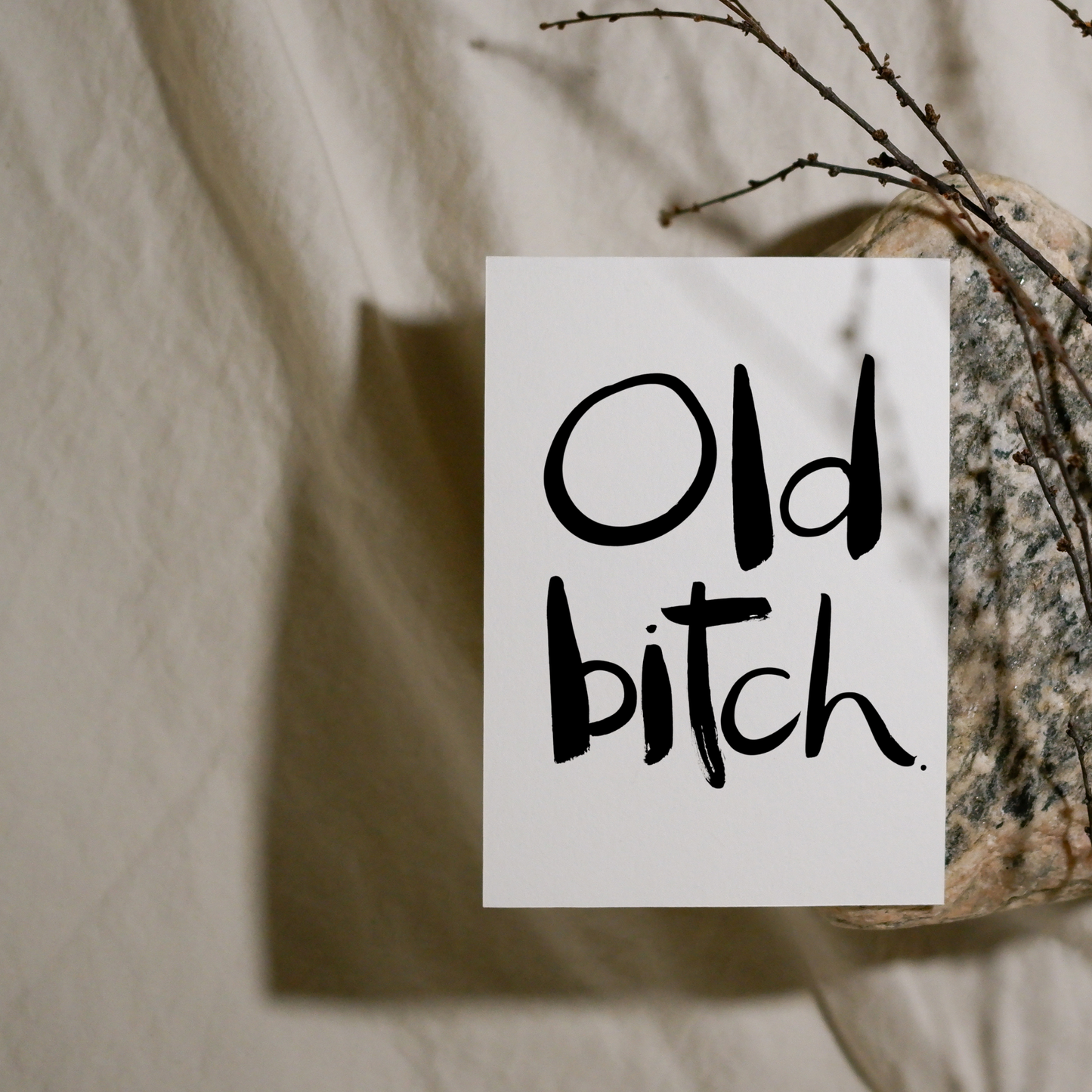 Old Bitch