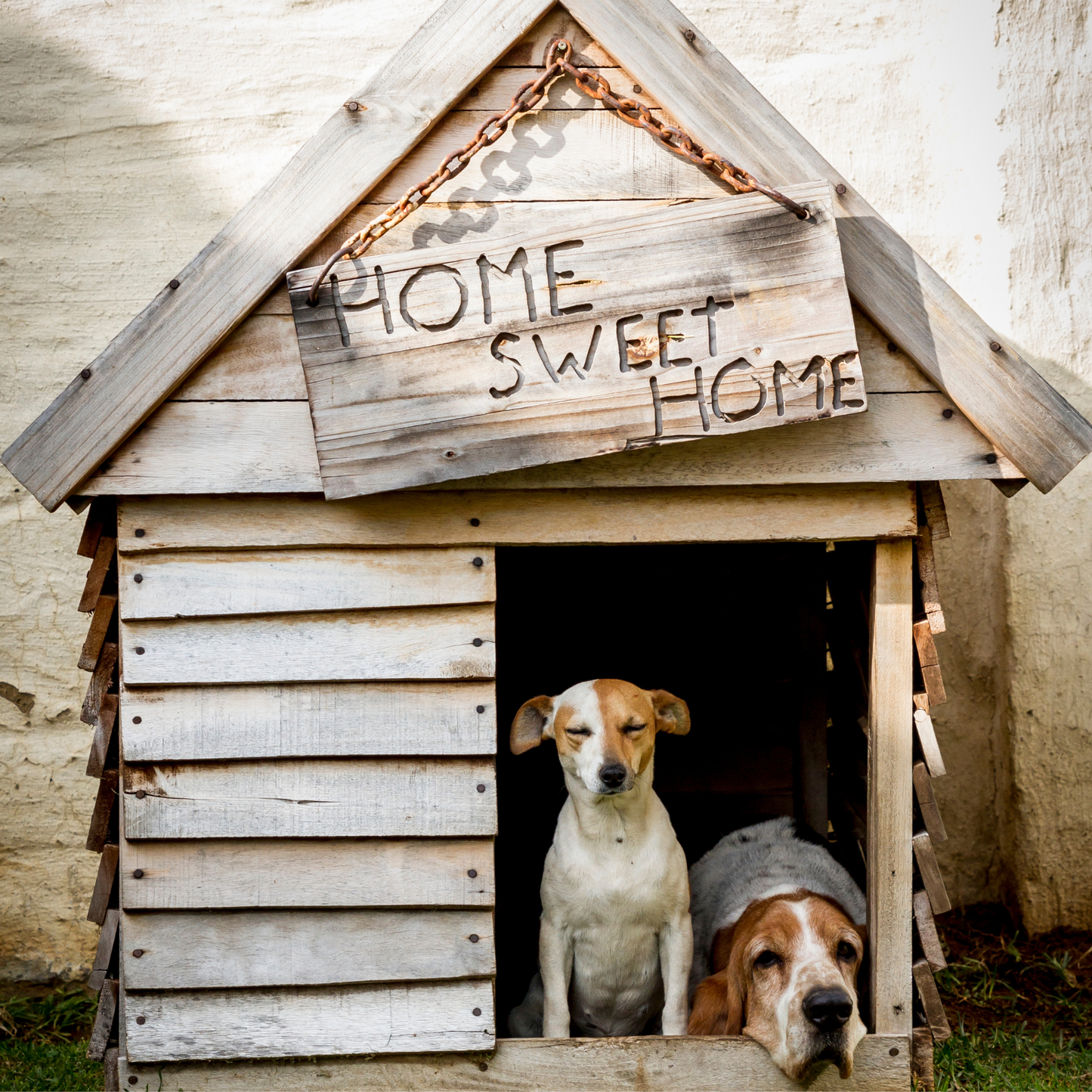 Home sweet home.