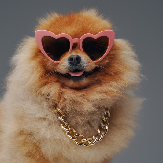 More Dogs less people.